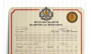 Thumbnail image showing a stylized graphic related to official permits or documents.